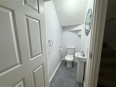 Picture 4